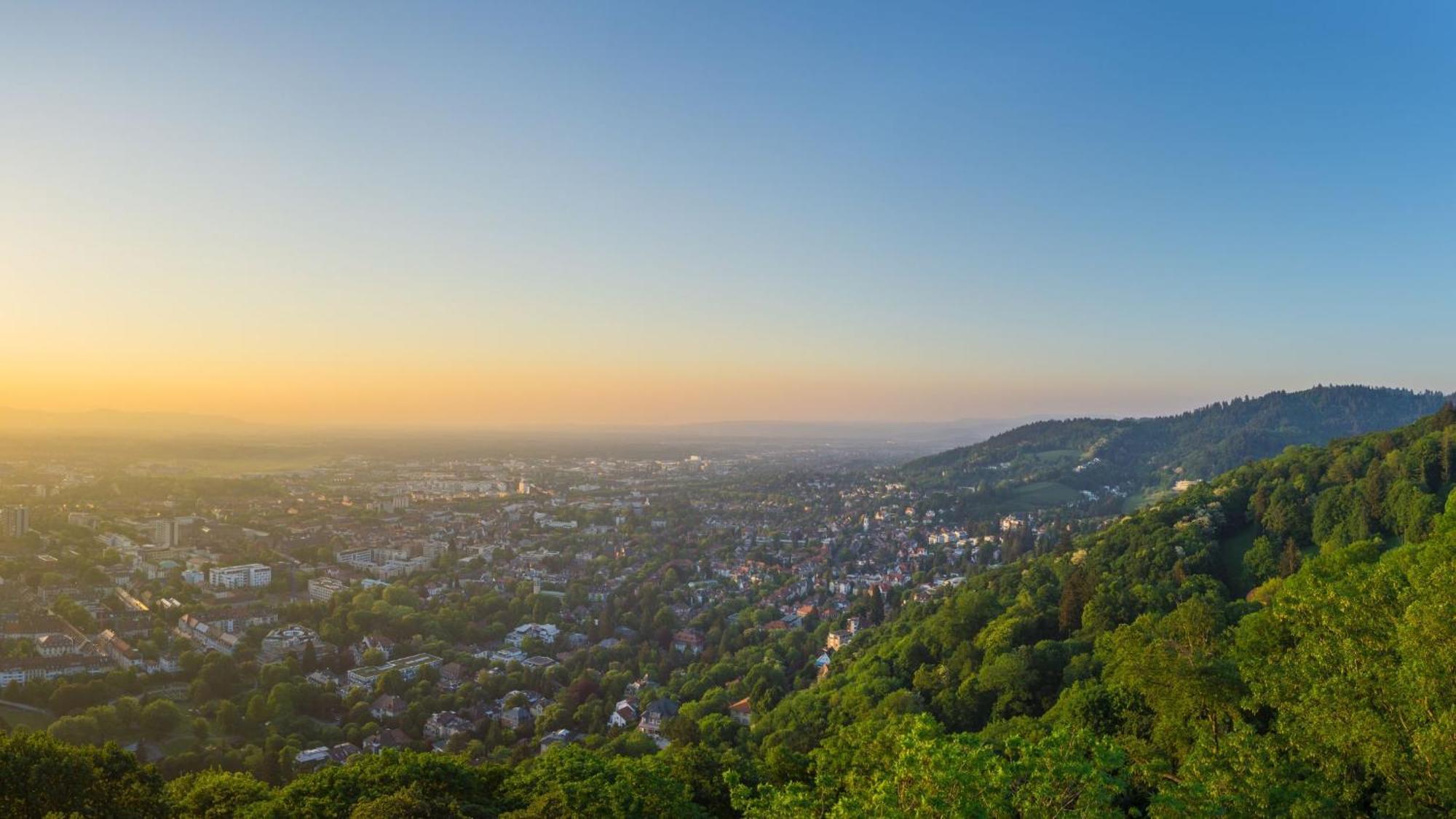 Ferienwohnung Muenster, Sehr Zentral Freiburg im Breisgau Exterior foto